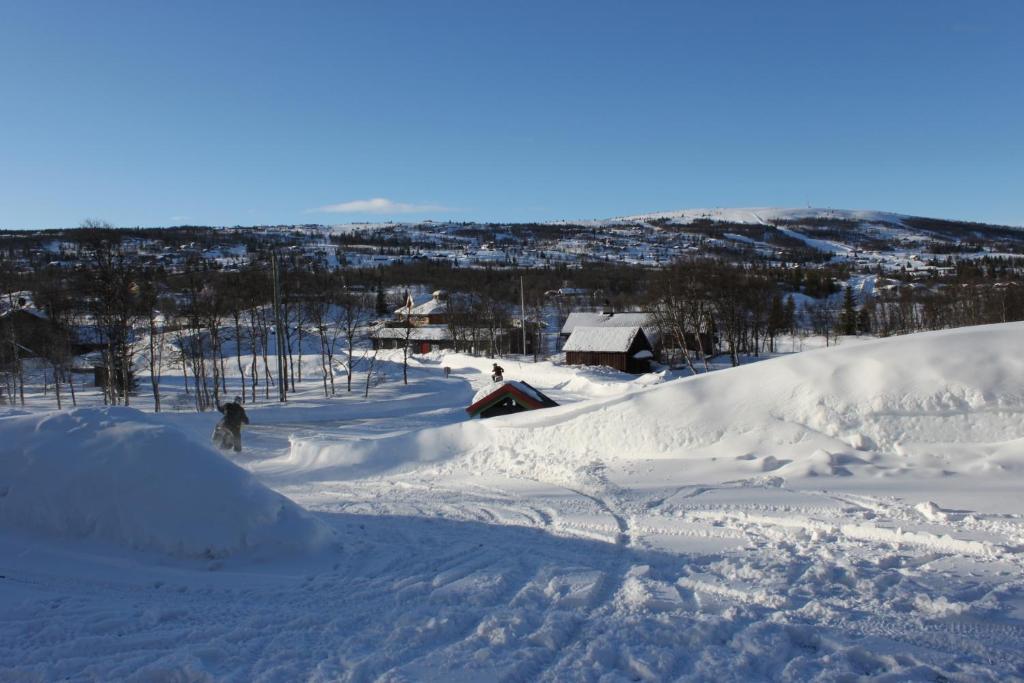 Bergfosshytta room 6